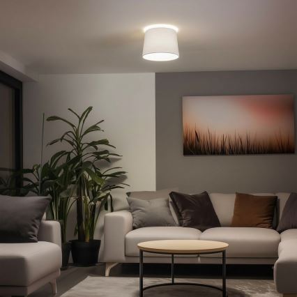 Brilagi - LED Přisazený lustr CERIA 1xE27/40W/230V pr. 30 cm bílá