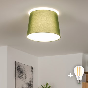 Brilagi - LED Přisazený lustr CERIA 1xE27/40W/230V pr. 30 cm zelená