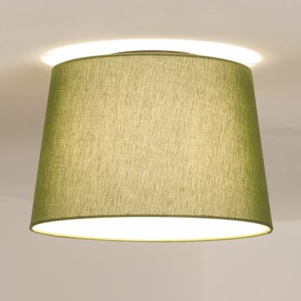 Brilagi - LED Přisazený lustr CERIA 1xE27/40W/230V pr. 30 cm zelená