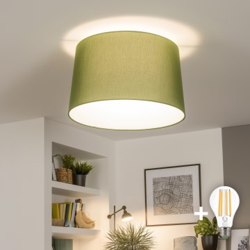 Brilagi - LED Přisazený lustr CERIA 1xE27/40W/230V pr. 45 cm zelená