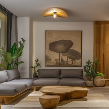 Brilagi - LED Přisazený lustr CERIA BOHO 1xE27/40W/230V pr. 80 cm rafie