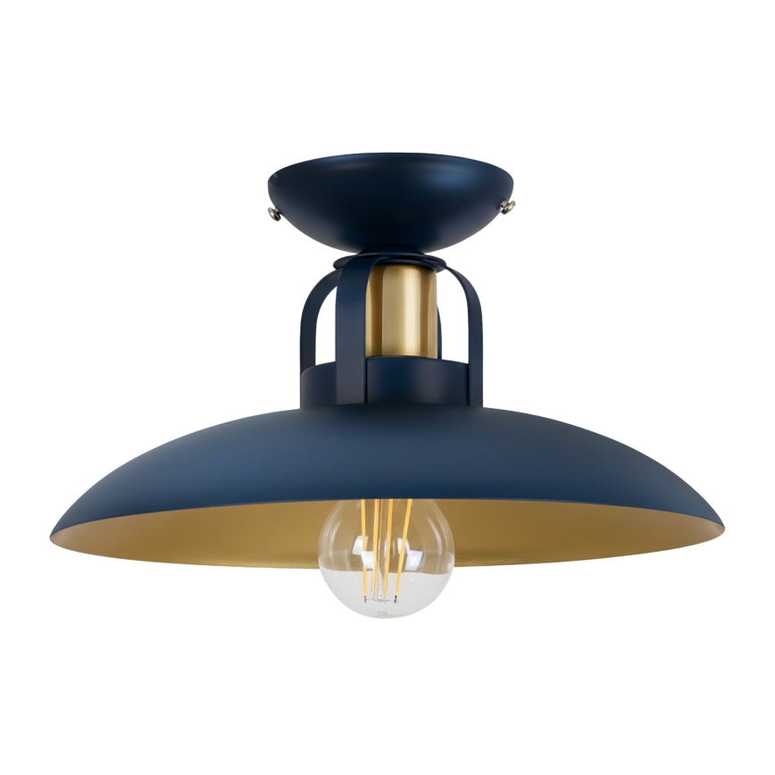 Brilagi - LED Přisazený lustr FLAMENGO 1xE27/60W/230V modrá