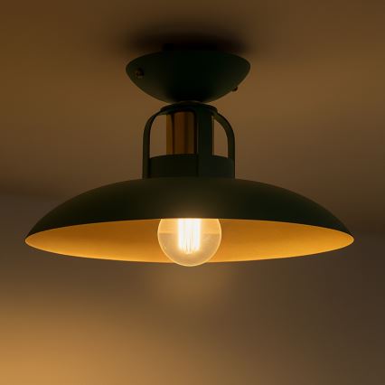 Brilagi - LED Přisazený lustr FLAMENGO 1xE27/60W/230V zelená