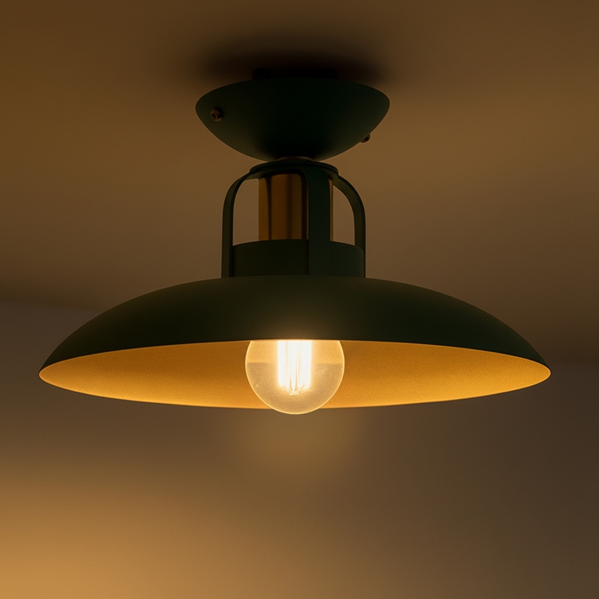 Brilagi - LED Přisazený lustr FLAMENGO 1xE27/60W/230V zelená