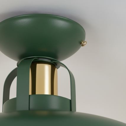 Brilagi - LED Přisazený lustr FLAMENGO 1xE27/60W/230V zelená