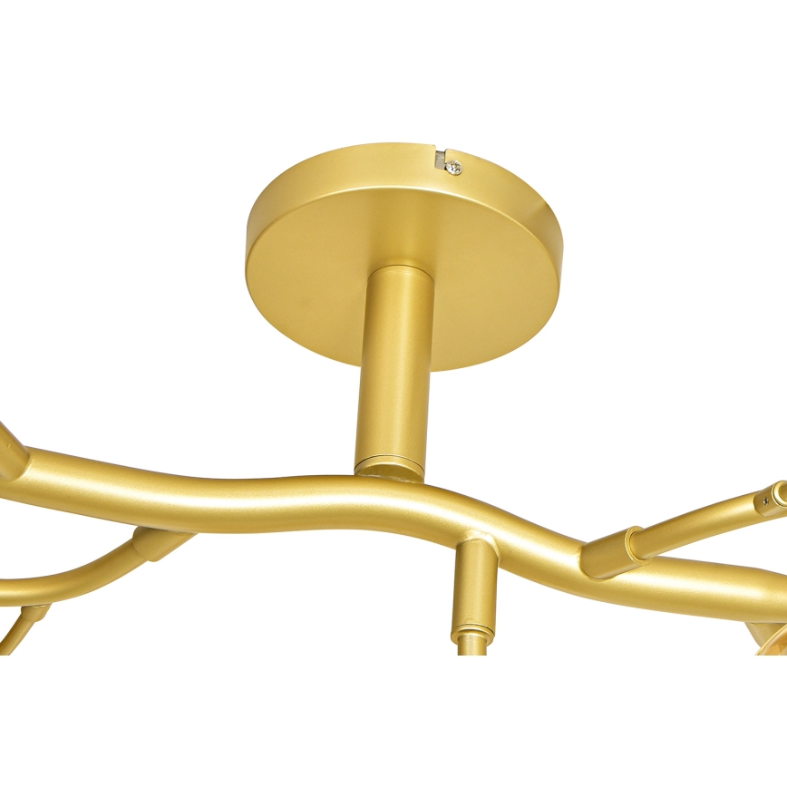 Brilagi - LED Přisazený lustr MISTEL 15xG9/3W/230V zlatá/bílá