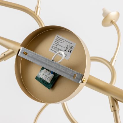 Brilagi - LED Přisazený lustr MISTEL 15xG9/3W/230V zlatá/bílá