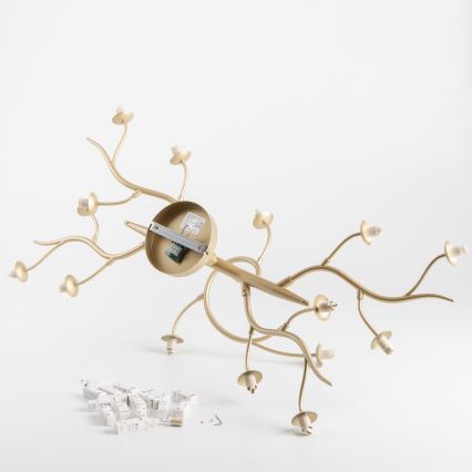 Brilagi - LED Přisazený lustr MISTEL 15xG9/3W/230V zlatá/bílá