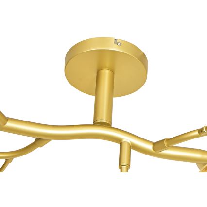 Brilagi - LED Přisazený lustr MISTEL 15xG9/3W/230V zlatá