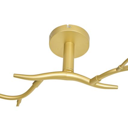 Brilagi - LED Přisazený lustr MISTEL 6xG9/3W/230V zlatá/bílá