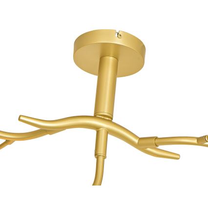 Brilagi - LED Přisazený lustr MISTEL 9xG9/3W/230V zlatá