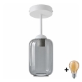 BRILAGI - LED Přisazený lustr RETRO GLASS 1xE27/60W/230V pr. 14 cm bílá/kouřová šedá