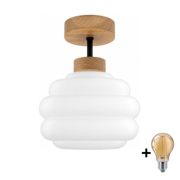 BRILAGI - LED Přisazený lustr RETRO GLASS 1xE27/60W/230V pr. 20 cm dub/bílá