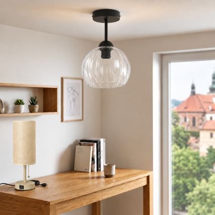 BRILAGI - LED Přisazený lustr RETRO GLASS 1xE27/60W/230V pr. 25 cm černá/čirá