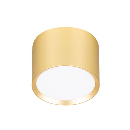 Brilagi - LED RGB+CCT Stmívatelné bodové svítidlo SMOOTH 1xGX53/14W/230V 2700-6500K Wi-Fi Tuya zlatá