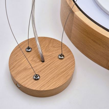 Brilagi - LED RGBW Stmívatelný lustr na lanku CARVALHO 2xE27/15W/230V 2700-6500K Wi-Fi dub pr. 37 cm