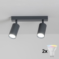 Brilagi - LED RGBW Stmívatelné bodové svítidlo SELE 2xGU10/4,8W/230V 3000K antracit + dálkové ovládání