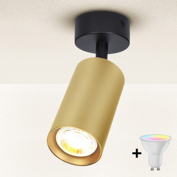 Brilagi - LED RGBW Stmívatelné bodové svítidlo SELE GOLDEN 1xGU10/6W/230V 3000K černá/zlatá