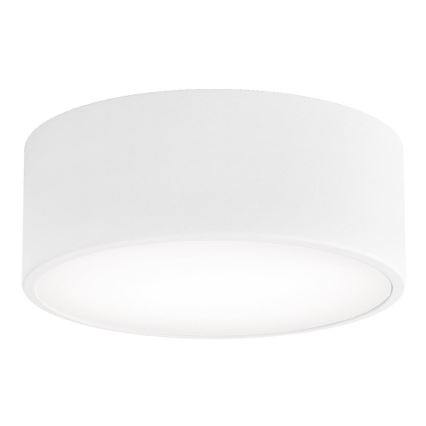 BRILAGI - LED RGBW Stmívatelné stropní svítidlo CLARE 1xE27/12W/230V 2700-6500K pr. 20 cm bílá