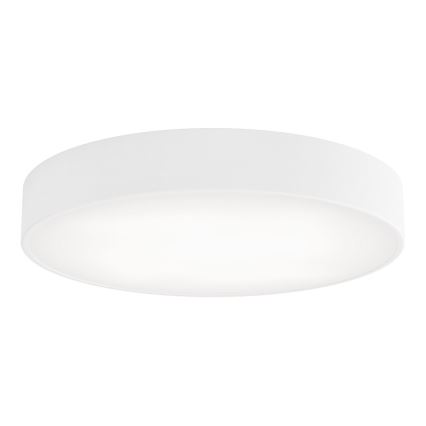 BRILAGI - LED RGBW Stmívatelné stropní svítidlo CLARE 4xE27/12W/230V 2700-6500K pr. 50 cm bílá