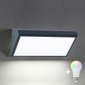 BRILAGI - LED RGBW Stmívatelné venkovní nástěnné svítidlo TRIANGLE 1xE27/12W/230V 2700-6500K IP65 antracit