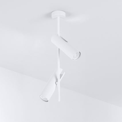 Brilagi - LED RGBW Stmívatelný lustr na tyči BRANCH 2xGU10/6,5W/230V 2700-6500K bílá