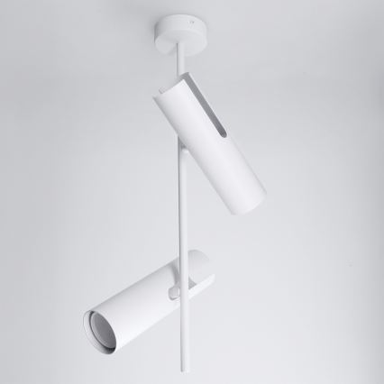 Brilagi - LED RGBW Stmívatelný lustr na tyči BRANCH 2xGU10/6,5W/230V 2700-6500K bílá
