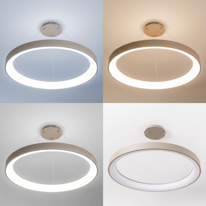 BRILAGI - LED Stmívatelný lustr na lanku FALCON II LED/108W/230V 3000-6500K pr. 80 cm béžová + dálkové ovládání
