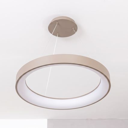 BRILAGI - LED Stmívatelný lustr na lanku FALCON II LED/99W/230V 3000-6500K pr. 60 cm béžová + dálkové ovládání