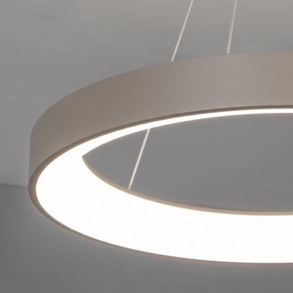 BRILAGI - LED Stmívatelný lustr na lanku FALCON II LED/99W/230V 3000-6500K pr. 60 cm béžová + dálkové ovládání