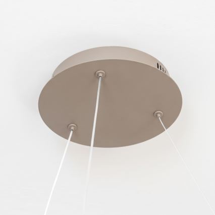 BRILAGI - LED Stmívatelný lustr na lanku FALCON II LED/99W/230V 3000-6500K pr. 60 cm béžová + dálkové ovládání