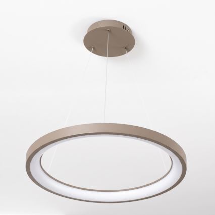 BRILAGI - LED Stmívatelný lustr na lanku FALCON SLIM LED/42W/230V 3000-6500K pr. 50 cm béžová + dálkové ovládání
