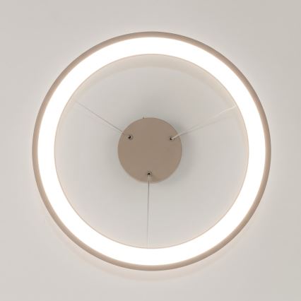 BRILAGI - LED Stmívatelný lustr na lanku FALCON SLIM LED/42W/230V 3000-6500K pr. 50 cm béžová + dálkové ovládání