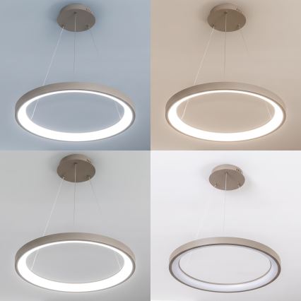 BRILAGI - LED Stmívatelný lustr na lanku FALCON SLIM LED/42W/230V 3000-6500K pr. 50 cm béžová + dálkové ovládání