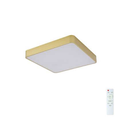 BRILAGI - LED Stmívatelné stropní svítidlo POOL SQUARE LED/36W/230V 3000-6000K 40x40 cm zlatá + dálkové ovládání