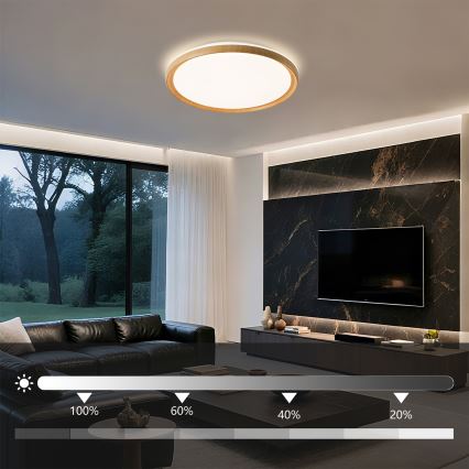 Brilagi - LED Stmívatelné stropní svítidlo RIVO LED/72W/230V 3000-6000K dekor dřeva pr. 50 cm + dálkové ovládání