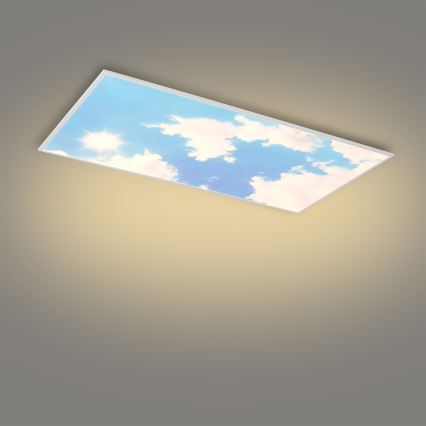 Brilagi - LED Stmívatelné stropní svítidlo SLIMFRAME SKY LED/80W/230V 120x60 cm 3000-6000K stříbrná/modrá + dálkové ovládání