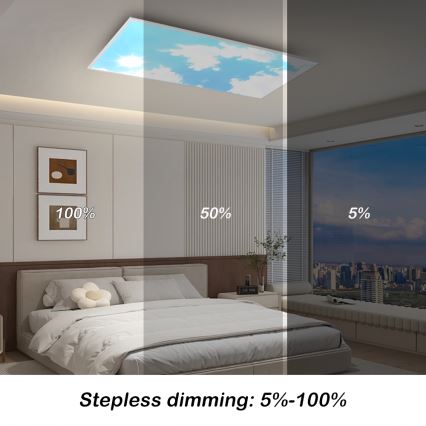 Brilagi - LED Stmívatelné stropní svítidlo SLIMFRAME SKY LED/80W/230V 120x60 cm 3000-6000K stříbrná/modrá + dálkové ovládání
