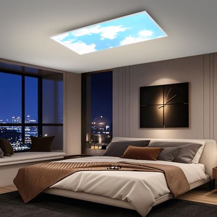 Brilagi - LED Stmívatelné stropní svítidlo SLIMFRAME SKY LED/80W/230V 120x60 cm 3000-6000K stříbrná/modrá + dálkové ovládání