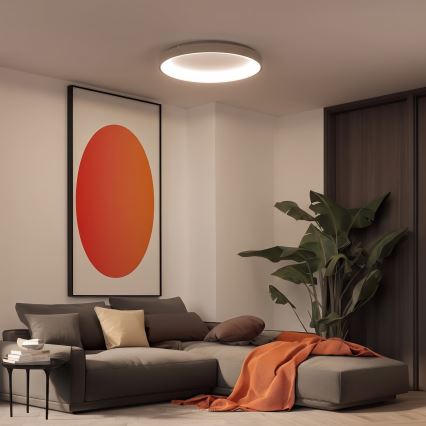 BRILAGI - LED Stmívatelné stropní svítidlo FALCON II LED/108W/230V 3000-6500K pr. 80 cm bílá/béžová + dálkové ovládání