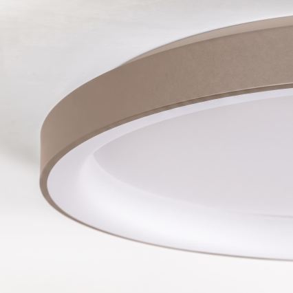 BRILAGI - LED Stmívatelné stropní svítidlo FALCON II LED/108W/230V 3000-6500K pr. 80 cm bílá/béžová + dálkové ovládání