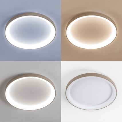 BRILAGI - LED Stmívatelné stropní svítidlo FALCON II LED/108W/230V 3000-6500K pr. 80 cm bílá/béžová + dálkové ovládání