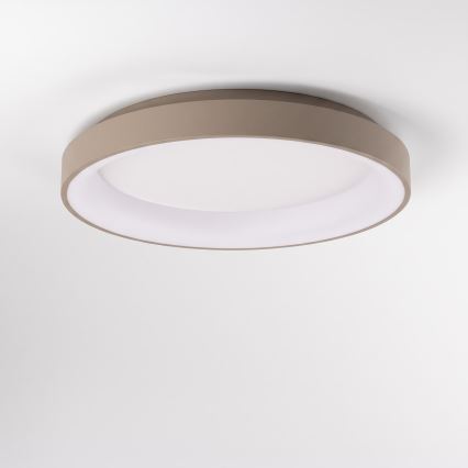 BRILAGI - LED Stmívatelné stropní svítidlo FALCON II LED/99W/230V 3000-6500K pr. 60 cm bílá/béžová + dálkové ovládání