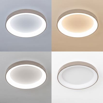 BRILAGI - LED Stmívatelné stropní svítidlo FALCON II LED/99W/230V 3000-6500K pr. 60 cm bílá/béžová + dálkové ovládání