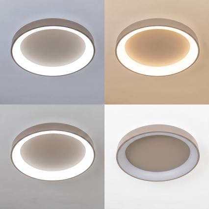 BRILAGI - LED Stmívatelné stropní svítidlo FALCON II LED/99W/230V 3000-6500K pr. 60 cm béžová + dálkové ovládání