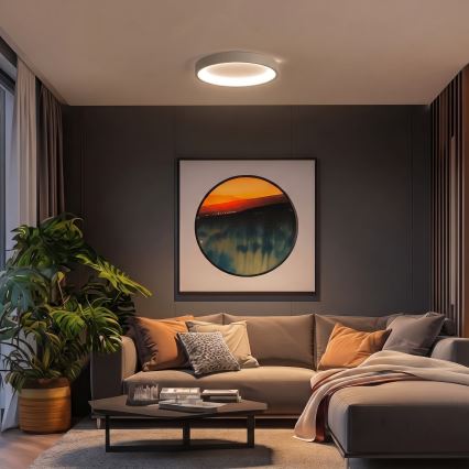 BRILAGI - LED Stmívatelné stropní svítidlo FALCON SLIM LED/42W/230V 3000-6500K pr. 50 cm béžová + dálkové ovládání