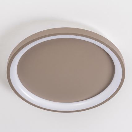 BRILAGI - LED Stmívatelné stropní svítidlo FALCON SLIM LED/42W/230V 3000-6500K pr. 50 cm béžová + dálkové ovládání