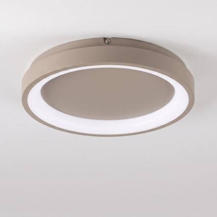 BRILAGI - LED Stmívatelné stropní svítidlo FALCON SLIM LED/42W/230V 3000-6500K pr. 50 cm béžová + dálkové ovládání