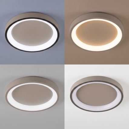 BRILAGI - LED Stmívatelné stropní svítidlo FALCON SLIM LED/42W/230V 3000-6500K pr. 50 cm béžová + dálkové ovládání