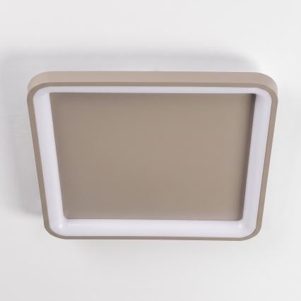 BRILAGI - LED Stmívatelné stropní svítidlo FALCON SLIM LED/50W/230V 3000-6500K 50x50 cm béžová + dálkové ovládání
